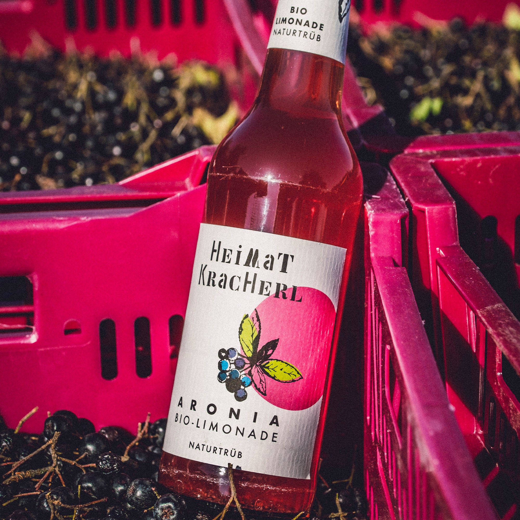 Heimat Kracherl – ARONIA Bio-Limonade
